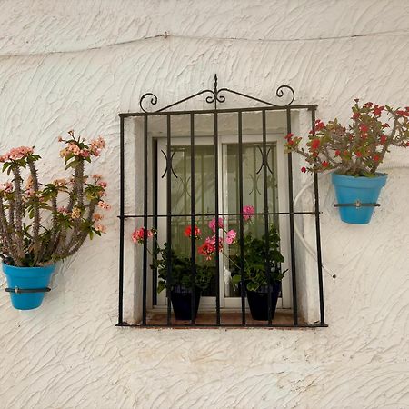 Arya'S Nest Διαμέρισμα Mijas Εξωτερικό φωτογραφία